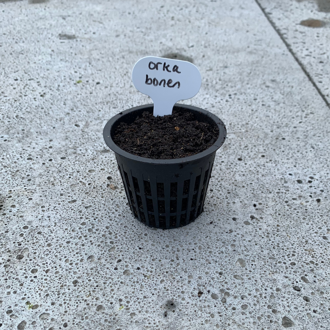 Pre-seed Labels