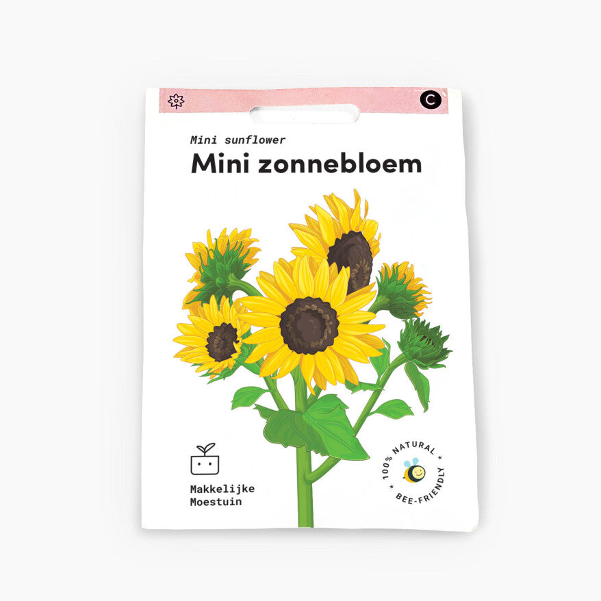 Mini zonnebloem