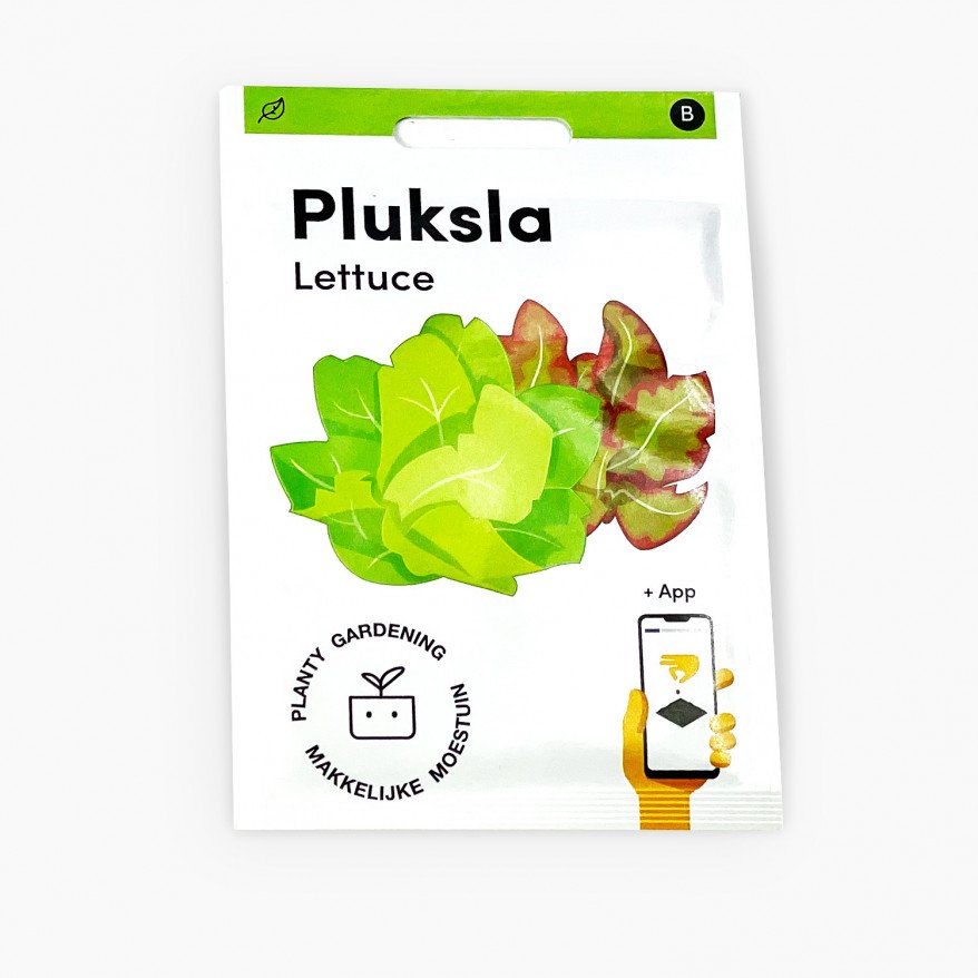 Pick lettuce