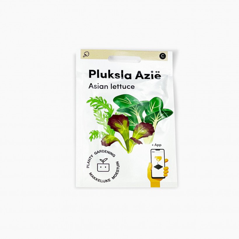 Lettuce Asia
