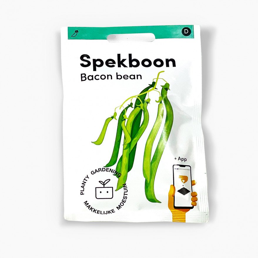 bacon bean
