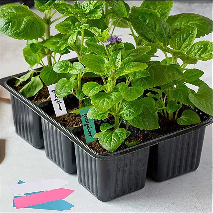 Pre-seed Labels