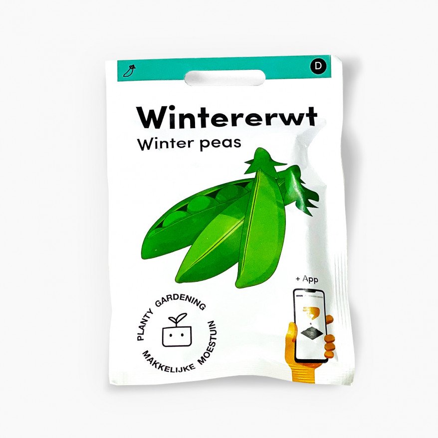 Wintererwt
