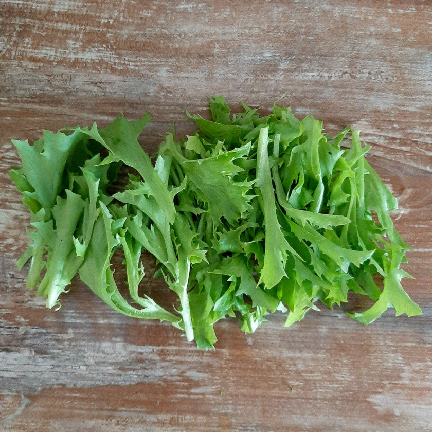 Groene Batavia Pro