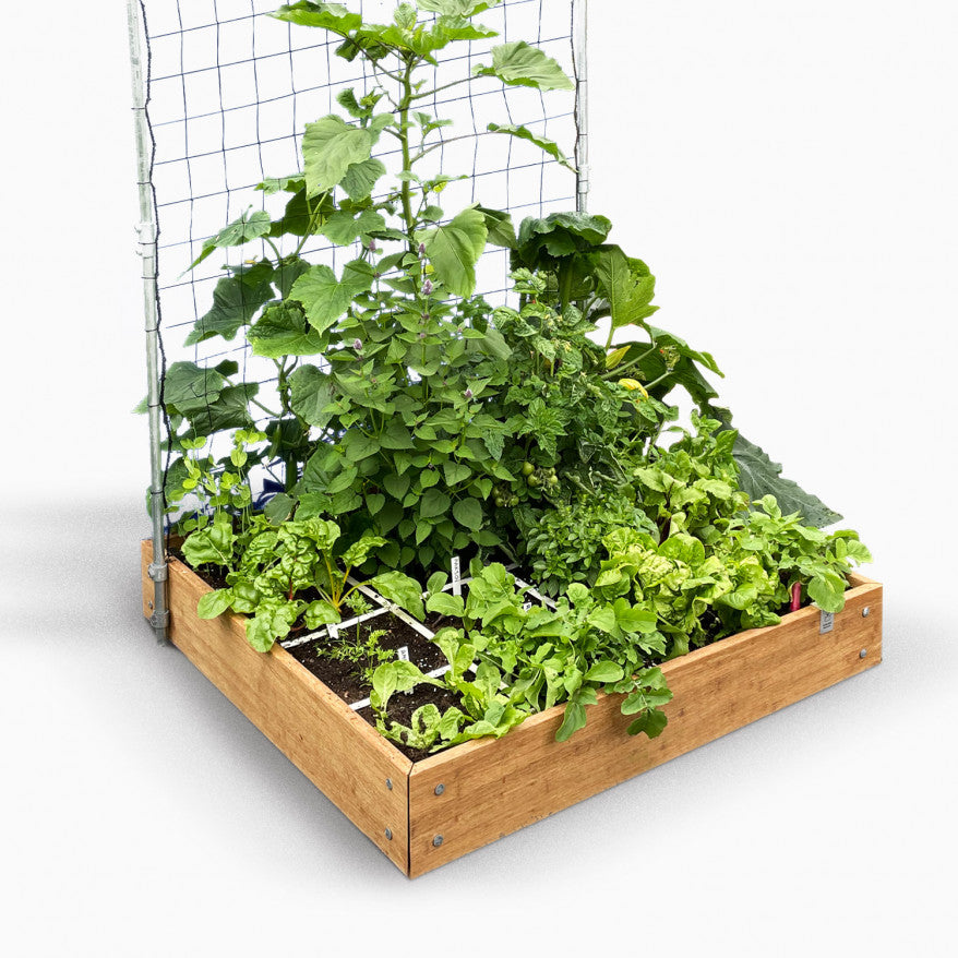 MM-bamboo met klimrek 120x120cm (16 vakken)