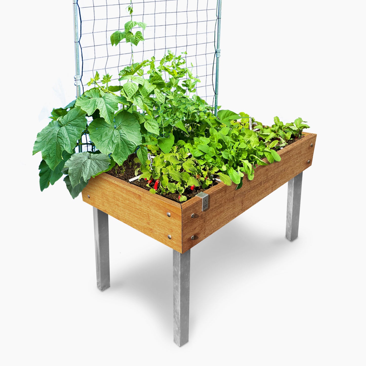 MM-bamboo tafel met klimrek 60x120cm (8 vakken)