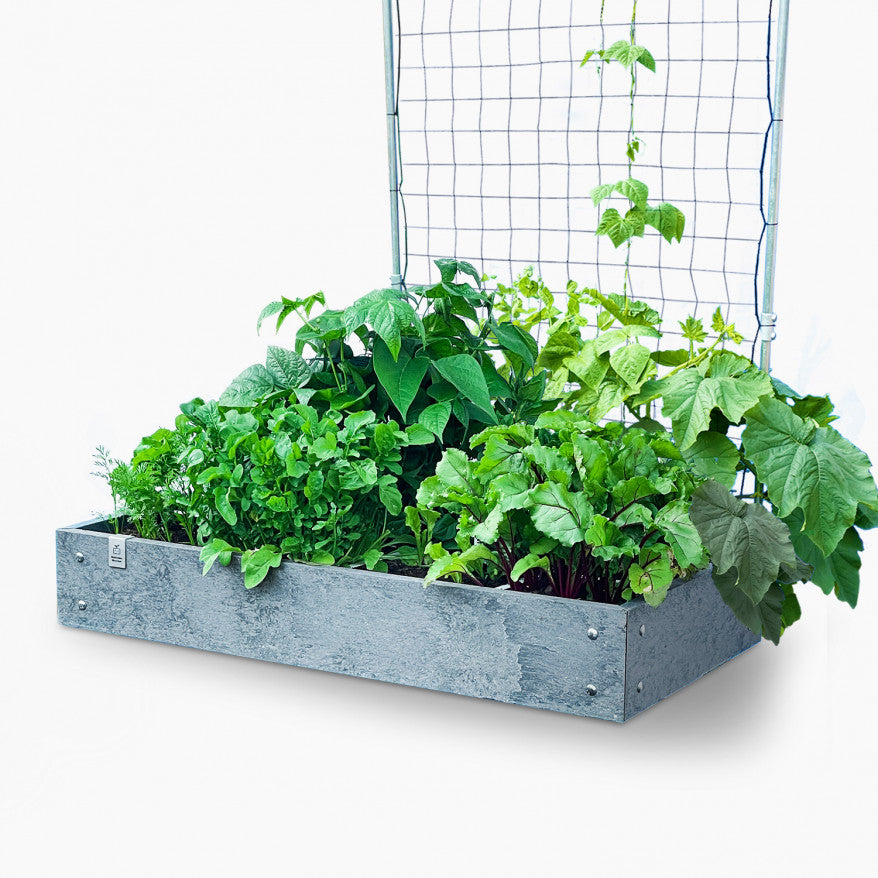 MM-hero met klimrek 60x120 cm (8vakken)