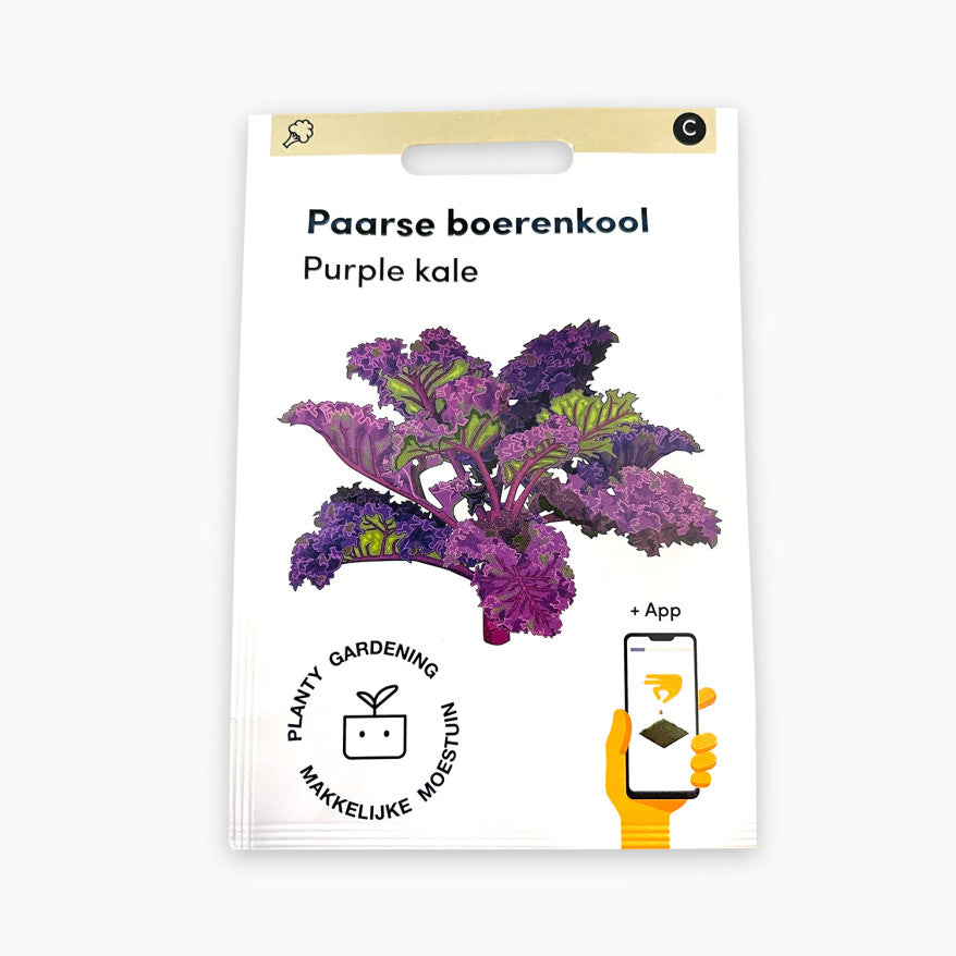 Purple kale