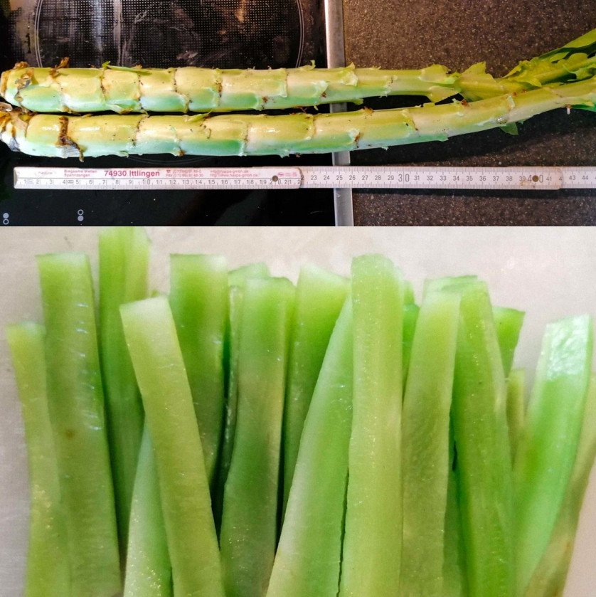 Stängelsalat