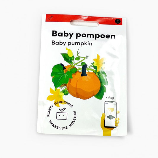 Baby pumpkin
