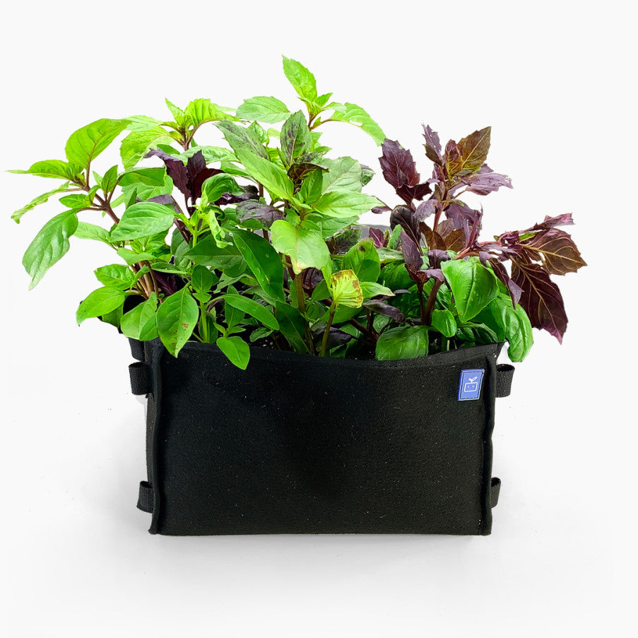 Basil mixture 