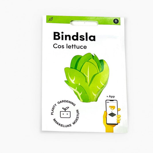 Cos lettuce
