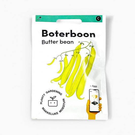 Butter bean