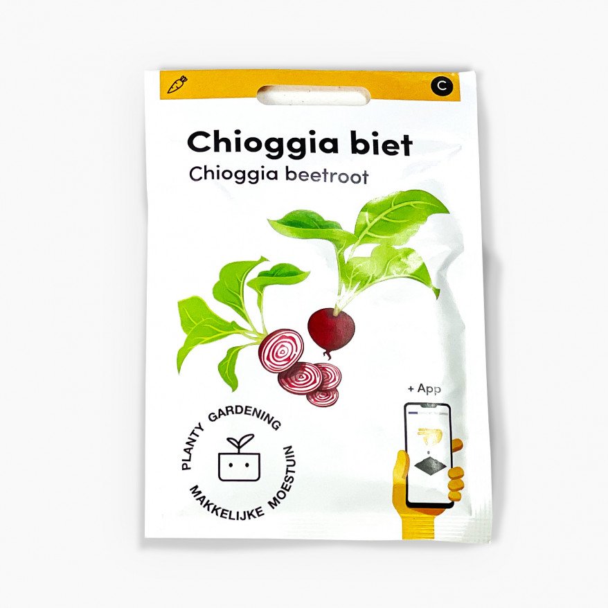 Chioggia-Rübe