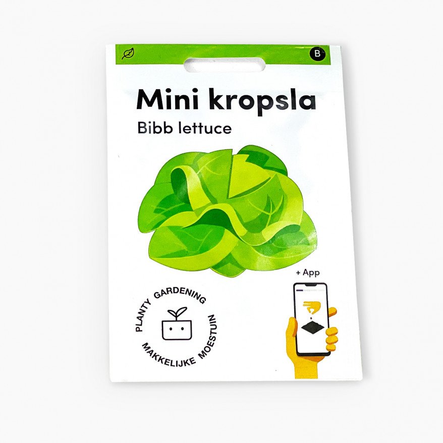 Mini lettuce