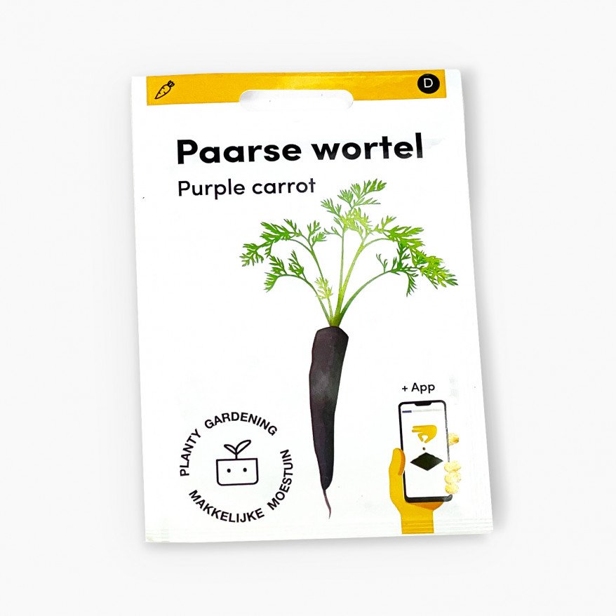 Paarse wortel