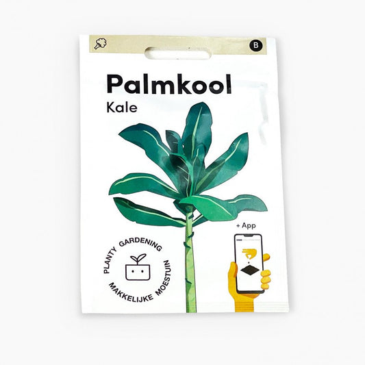 Palm cabbage