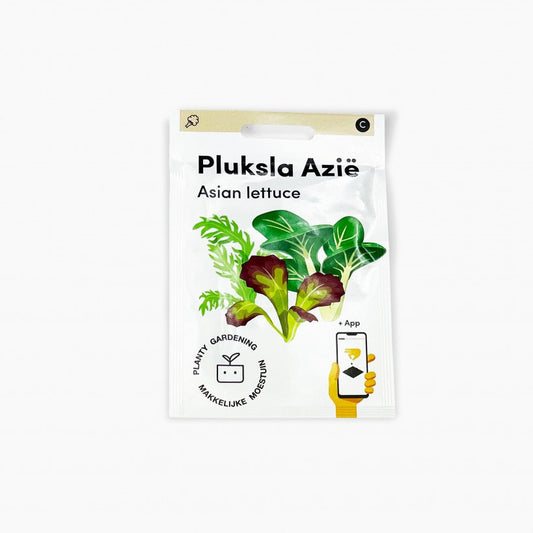 Lettuce Asia