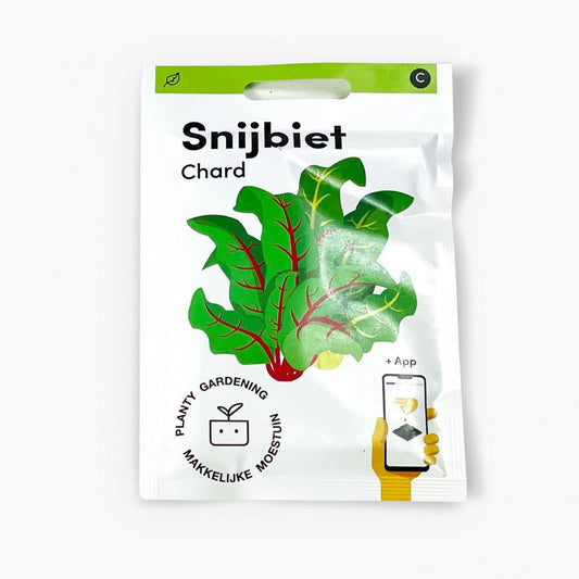 Chard