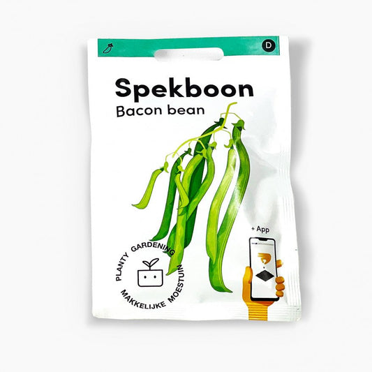 bacon bean