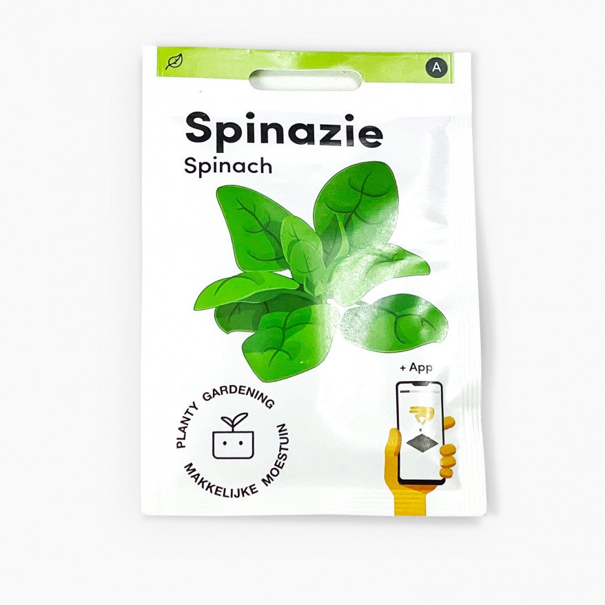 Spinach