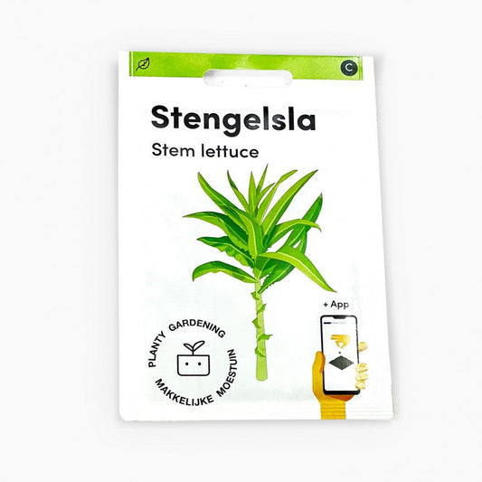 Stem lettuce