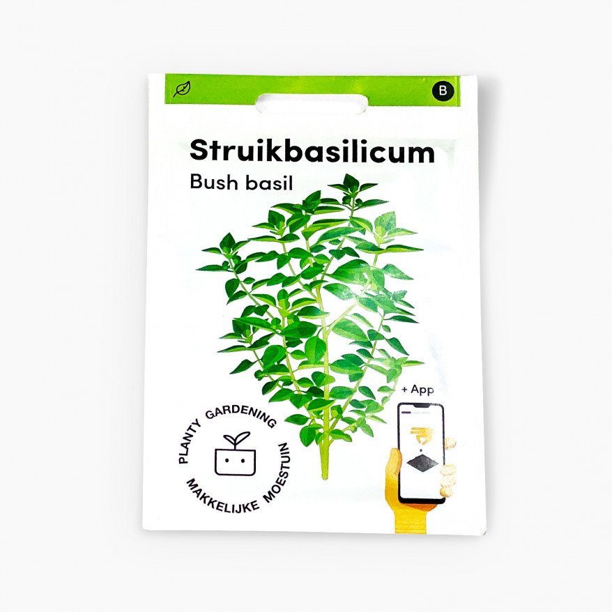 Shrub basil