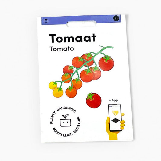 Tomato
