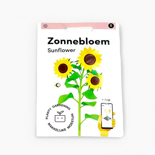 Zonnebloem