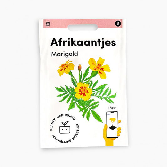 marigolds