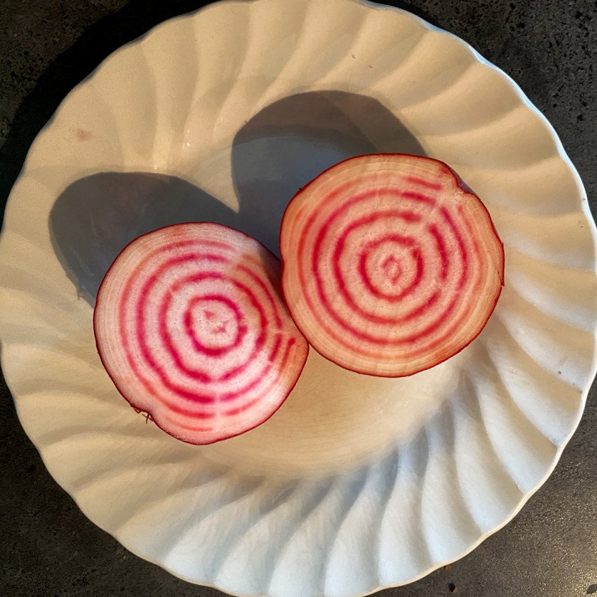 Chioggia-Rübe