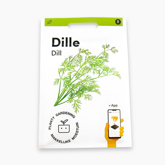 Dill