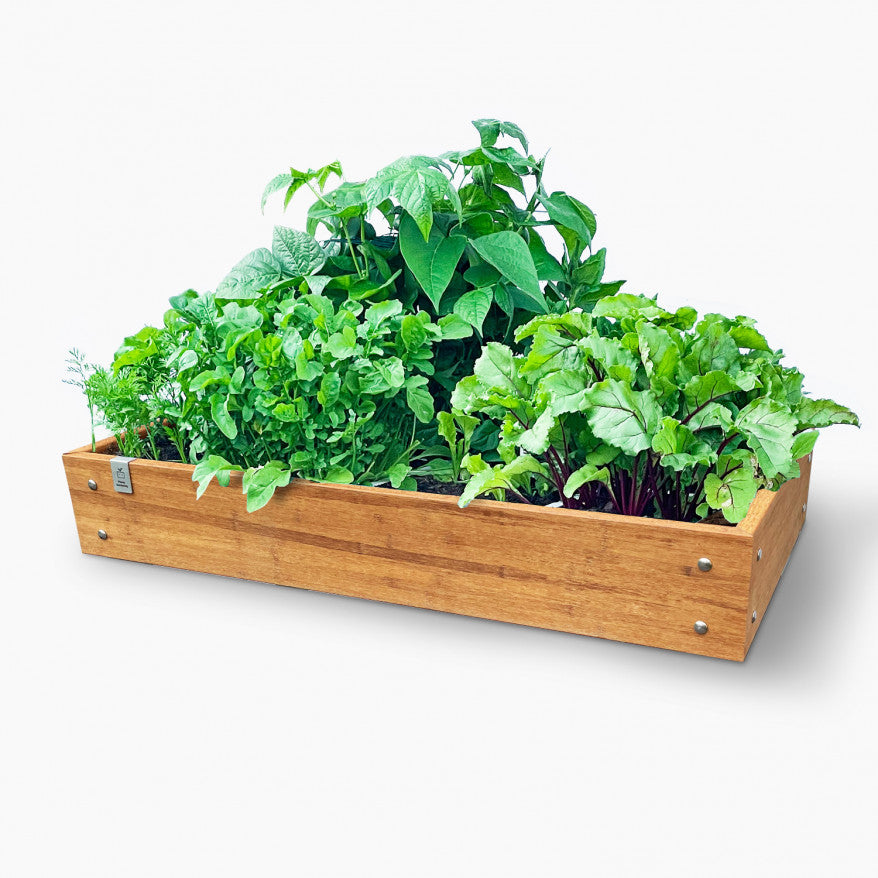 MM-bamboo 60x120cm (8 compartments) 