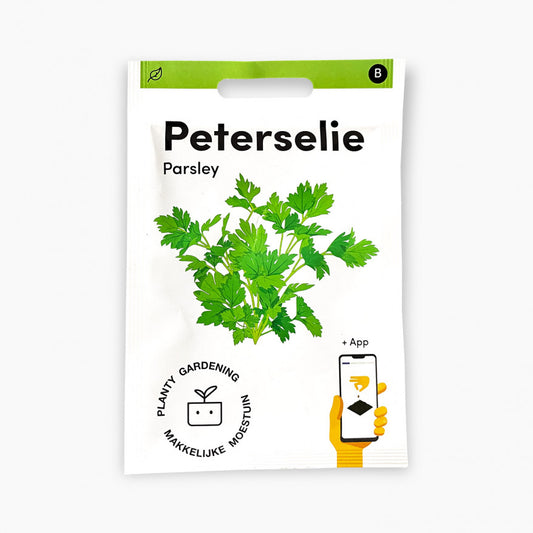 Parsley