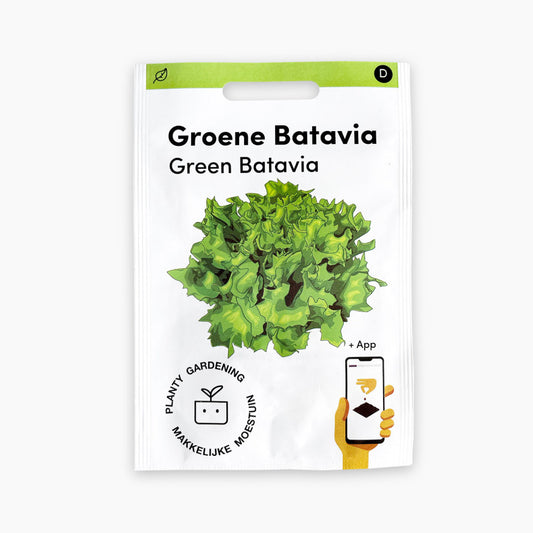 Groene Batavia Pro
